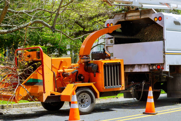 Best Commercial Tree Services  in Pontoon Beach, IL